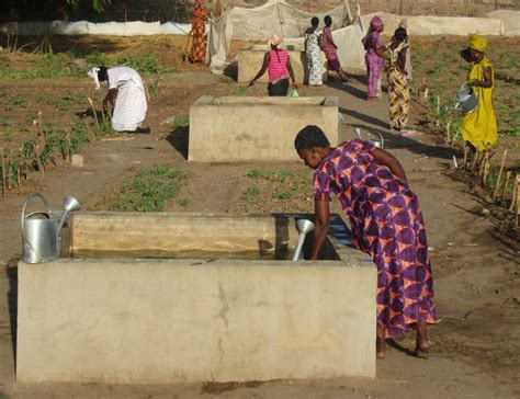 cleaning mud Senegal|Water Projects in Senegal .